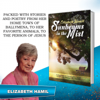 Sunbeams in the Mist by Elizabeth Hamill