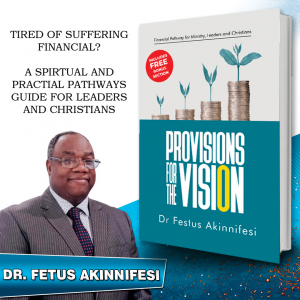 Provisions for the Vision by Dr Festus K Akinnifesi